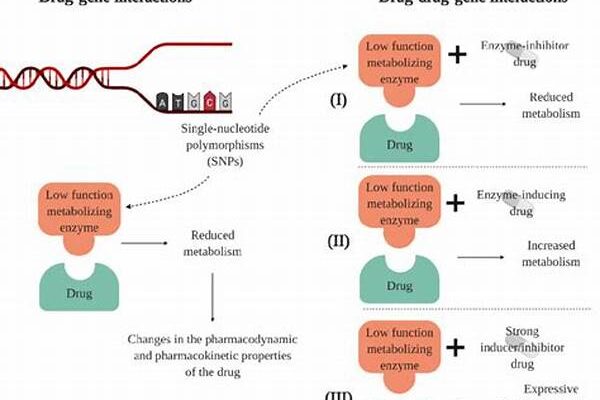 Customized Drug Responses Via Genetics